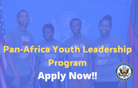 Pan Africa Youth Leadership Program 2022