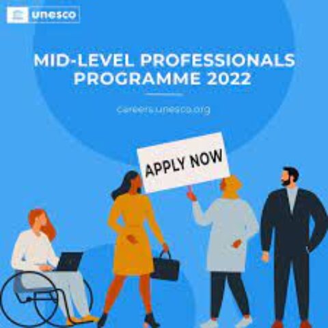 Mid-Level Professionals Programme 2022