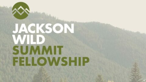 Jackson Wild Summit Fellowship For Storytellers 2022
