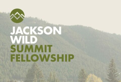 Jackson Wild Summit Fellowship For Storytellers 2022