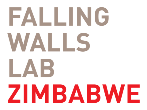 Falling Walls Lab Zimbabwe 2022