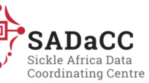 Closed: SickleInAfrica Research Fellowships 2022