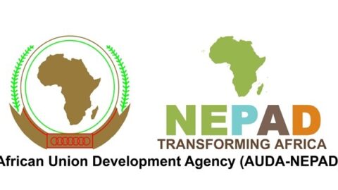 African Union Development Agency 2022