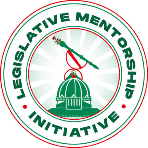 Legislative Mentorship Initiative Fellowship Programme 2022