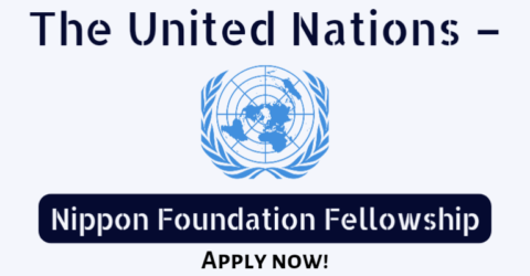 United Nations-Nippon Foundation Fellowship 2023