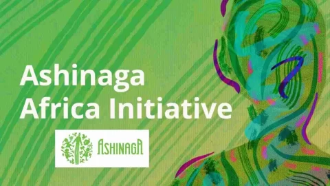 Ashinaga Africa Initiative Scholarship 2023