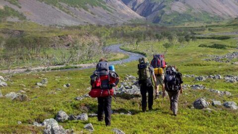Royal Geographical Society Gilchrist Fieldwork Award 2023 (Up to £15,000)