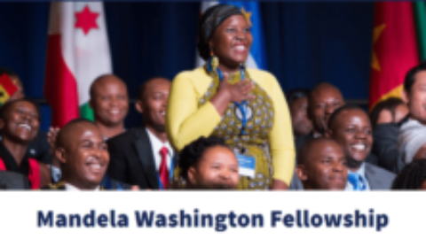 Mandela Washington Fellowship 2023 For Young Africans
