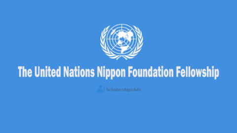 The United Nations – Nippon Foundation Fellowship 2022