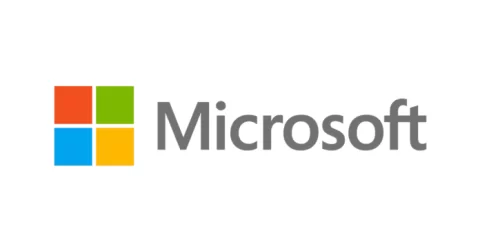 Microsoft Software Engineering Internship Program 2022
