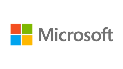 Microsoft Software Engineering Internship Program 2022