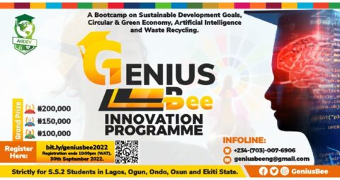 Genius Bee Innovation Programme For Young Nigerians (Up to N450,000 )