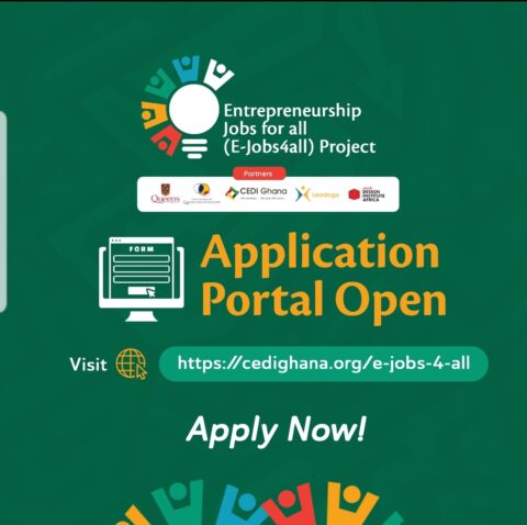 Entrepreneurship Fellowship Program in Ghana 2022
