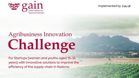 GAIN Agribusiness Innovation Challenge for Women In Kaduna 2022 (Prize N5million)