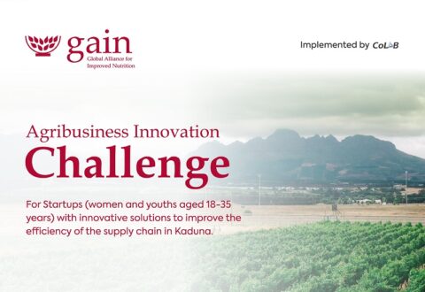 GAIN Agribusiness Innovation Challenge for Women In Kaduna 2022 (Prize N5million)