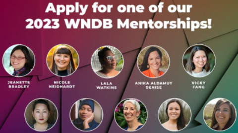 We Need Diverse Books (WNDB) Mentorships Programme 2023 For Writers