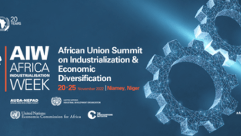 African Union Summit on Industrialization and Economic Diversification 2022
