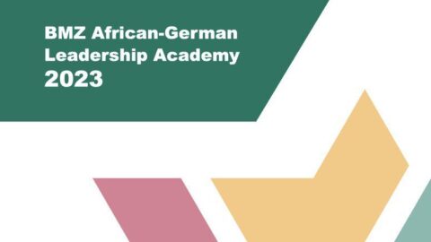 BMZ African-German Leadership Academy 2023 for Early to Mid-career Professionals (Funded)