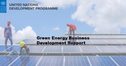 UNDP Green Energy Business Development Support 2022