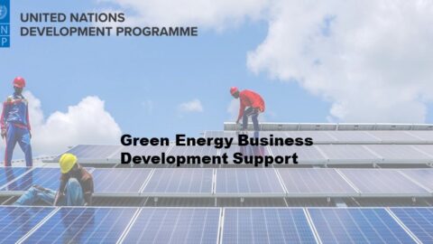 UNDP Green Energy Business Development Support 2022