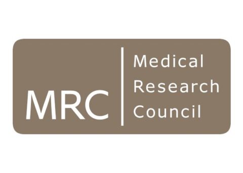 Medical Research Council (MRC) African Research Leaders 2023 (£750,000 in grant)