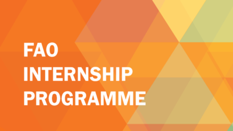 Closed: Call for Expression of Interest – Internship Programme for Africa (RAF)