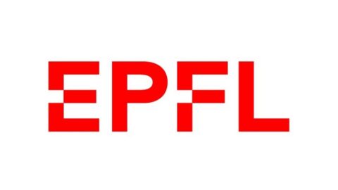 EPFL Excellence in Africa Faculty Development Programme 2022