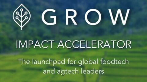 Closed: GROW Impact Accelerator Program for emerging Foodtech & Agritech Startups 2023