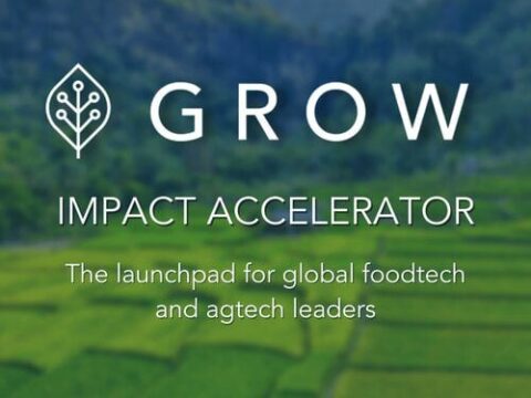 Closed: GROW Impact Accelerator Program for emerging Foodtech & Agritech Startups 2023