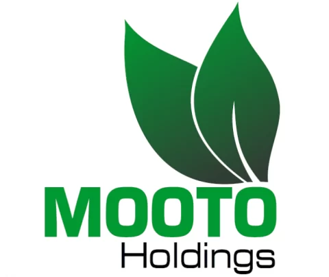 Mooto Holdings Ltd Investment Preparation Program (IPP)