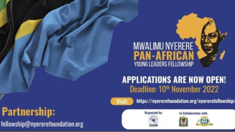 The Mwalimu Nyerere Pan-African Young Leaders Fellowship Programme for Young Africans 2022