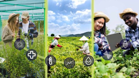 Global Agrifood Techpreneur Programme