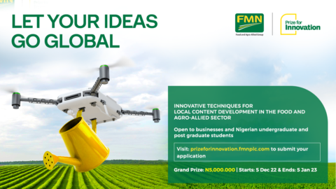 Flour Mills of Nigeria Prize Innovation 2023(Up to N5 million)