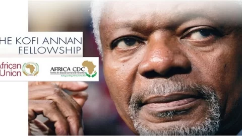 Kofi Annan Global Health Leadership Programme