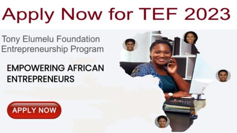 Tony Elumelu Foundation (TEF) Grant 2023