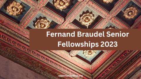 Fernand Braudel Senior Fellowships 2023 (Up to £3,000)