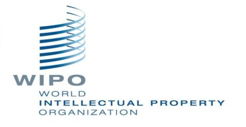 World Intellectual Property Day video Competition 2023