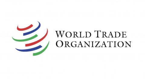 Young Professional Program at World Trade Organization