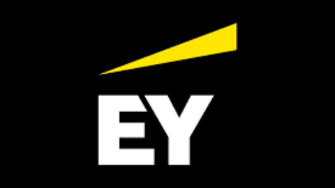 Ernst & Young (EY) Assurance Training Contract CA Programme (2024)