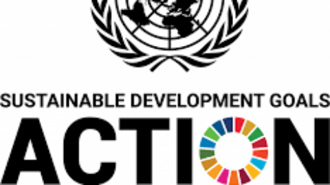Closed: UN SDG ACTION AWARDS (2023)