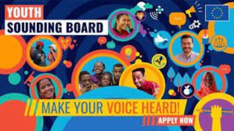 Closed: European Youth Sound Board for Young People Worldwide (2023)