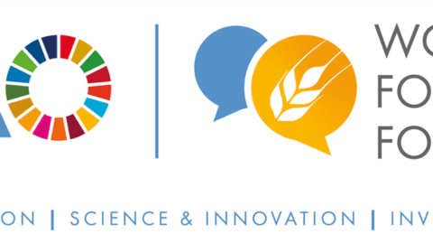 Closed: World Food Forum Call for Youth Representatives and Observers (2023)