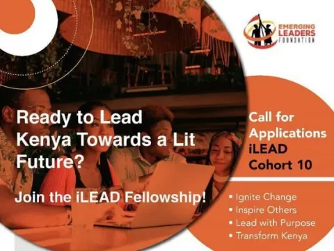The Emerging Leaders Foundation (ELF) Africa iLead Fellowship Programme 2023