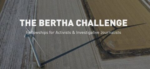 Bertha Challenge Fellowships for Activists and Investigative Journalists (2024)