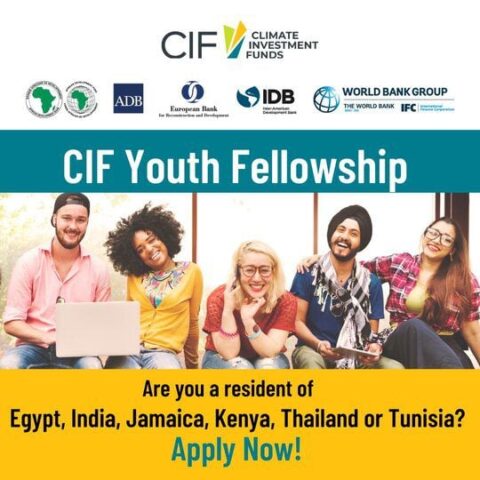 Climate Investment Funds (CIF) Fellowship (2023)