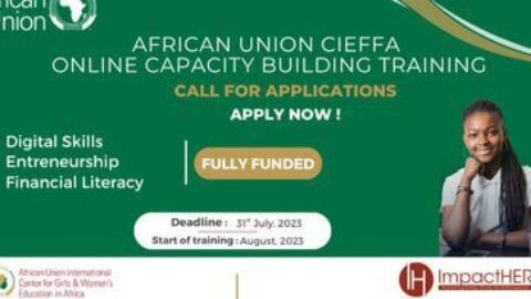 African Union CIEFFA Online Capacity Building Training Program (2023) (FullyFunded)