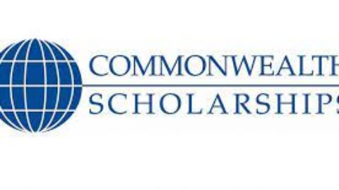 COMMONWEALTH PROFESSIONAL FELLOWSHIPS (2023/2024) (FULLY FUNDED)