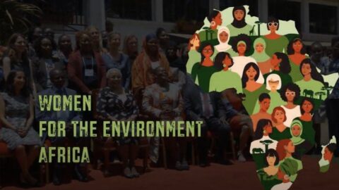 Women for The Environment Africa (2024)
