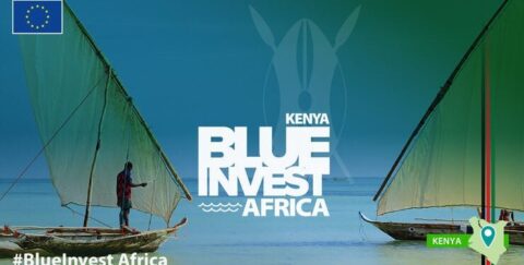 BlueInvest Africa 2024