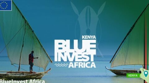 BlueInvest Africa 2024